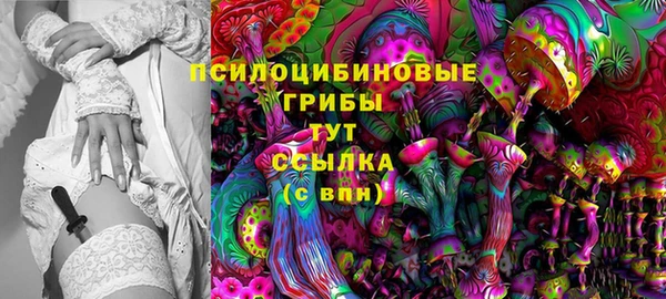молекула духа Баксан